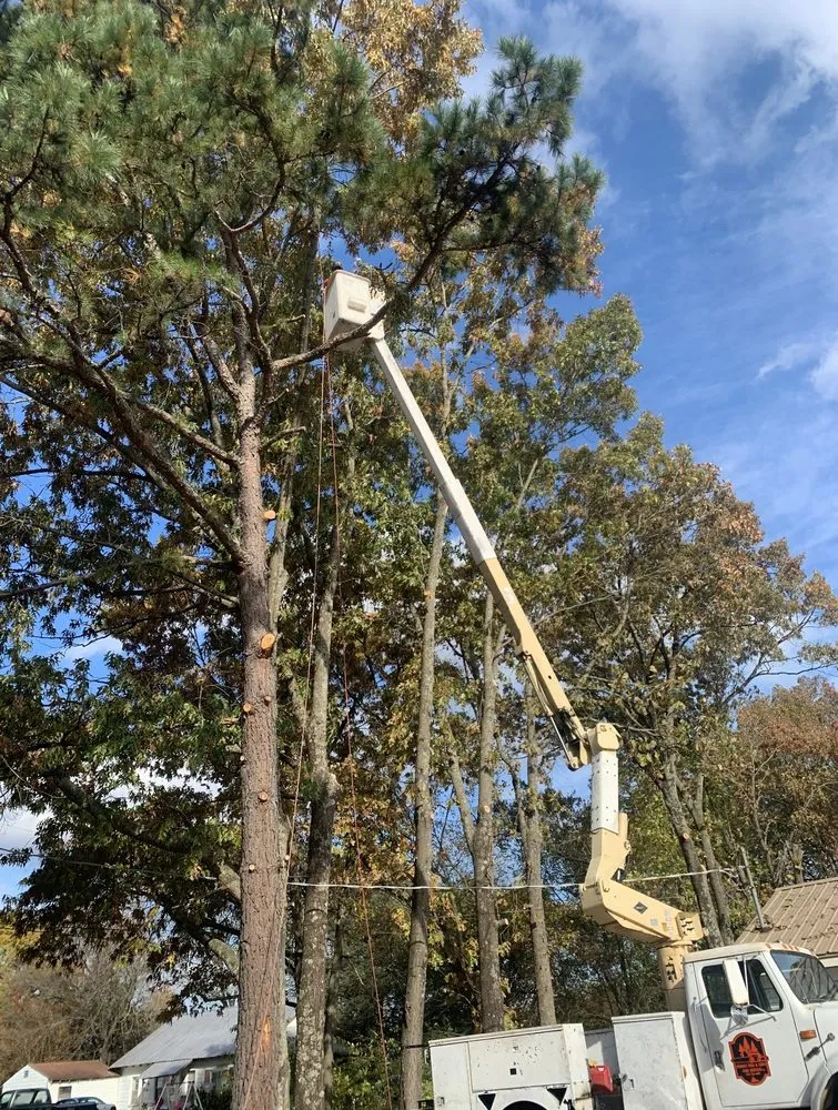 Top-rated lawn care service in Fort Smith, AR - Natural State Tree and Landscaping Service