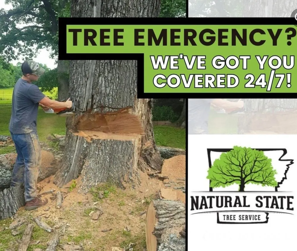 Reliable lawn care service for year-round maintenance in Fort Smith, AR by Natural State Tree and Landscaping Service