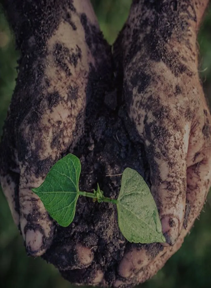 Trusted lawn care service for homes in Fort Smith, AR by Natural State Tree and Landscaping Service