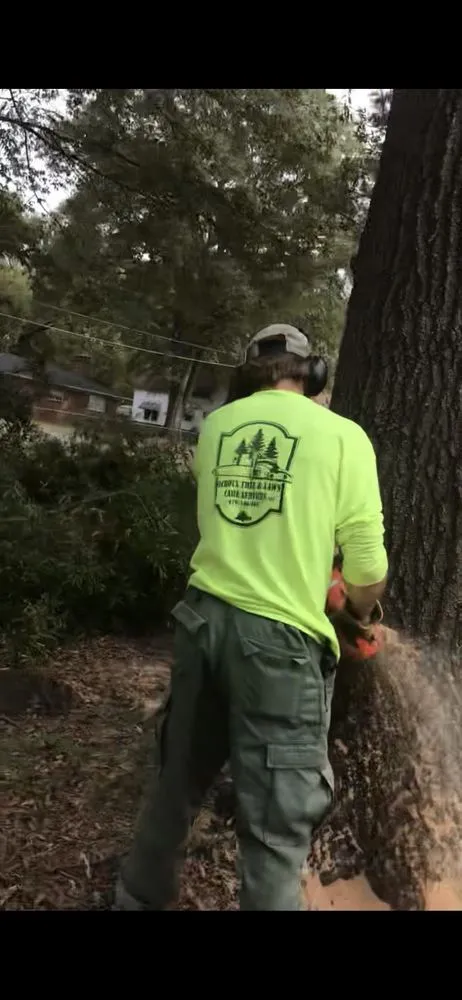Professional yard maintenance experts serving Fort Smith, AR - Natural State Tree and Landscaping Service