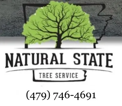 Affordable residential landscaping in Fort Smith, AR by Natural State Tree and Landscaping Service