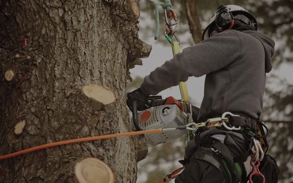 Top-rated yard maintenance for year-round maintenance in Fort Smith, AR by Natural State Tree and Landscaping Service