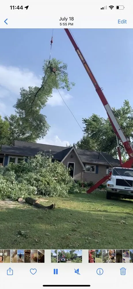 Professional garden landscaping in Fort Smith, AR by Natural State Tree and Landscaping Service