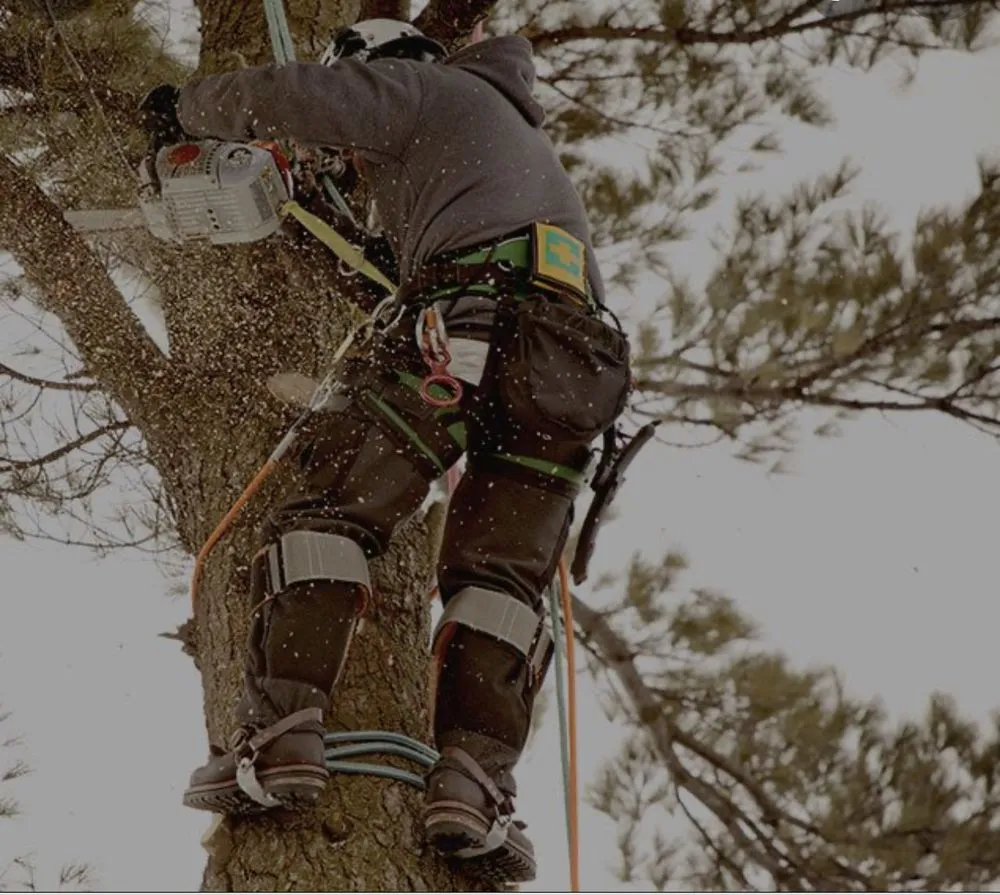 Trusted landscape installation in Fort Smith, AR - Natural State Tree and Landscaping Service