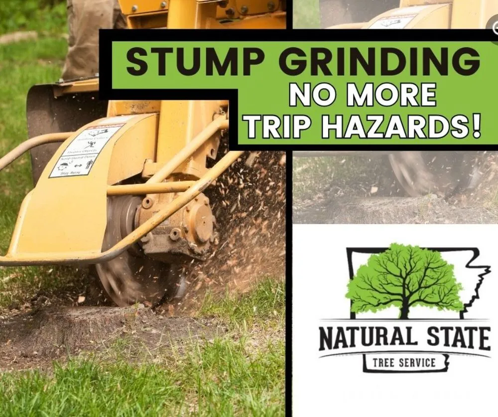Trusted yard maintenance for homes across Fort Smith, AR - Natural State Tree and Landscaping Service