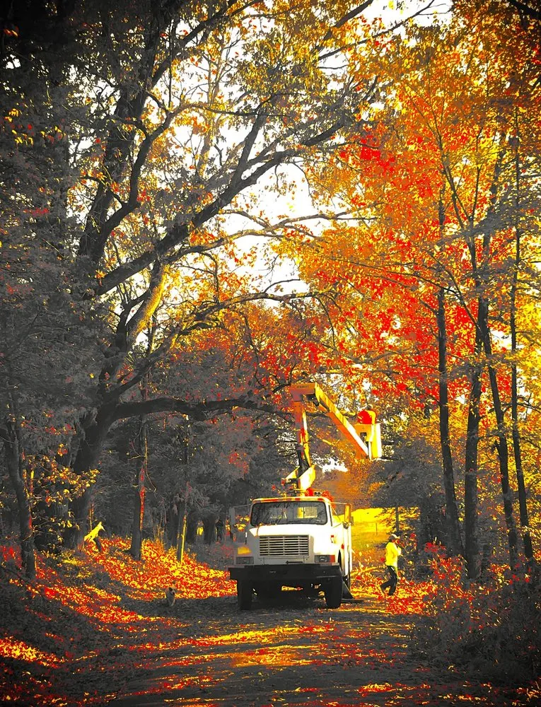 Local yard maintenance in Fort Smith, AR - Natural State Tree and Landscaping Service