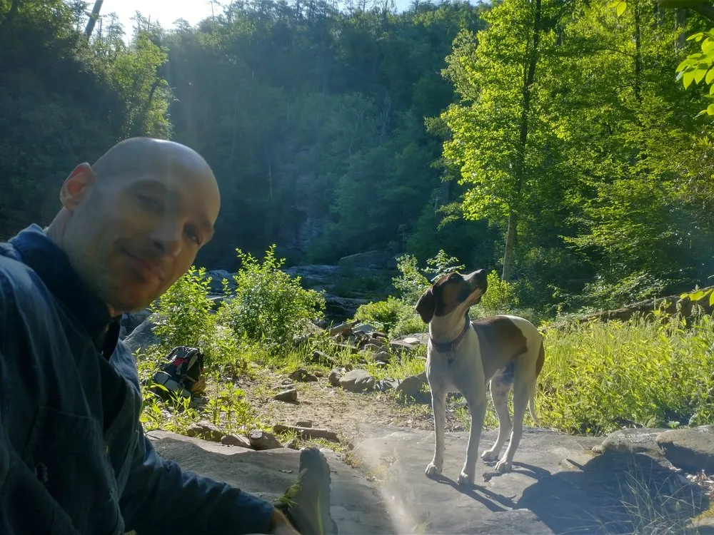 Trusted landscaping services experts serving Asheville, NC - Natural Succession Landscapes