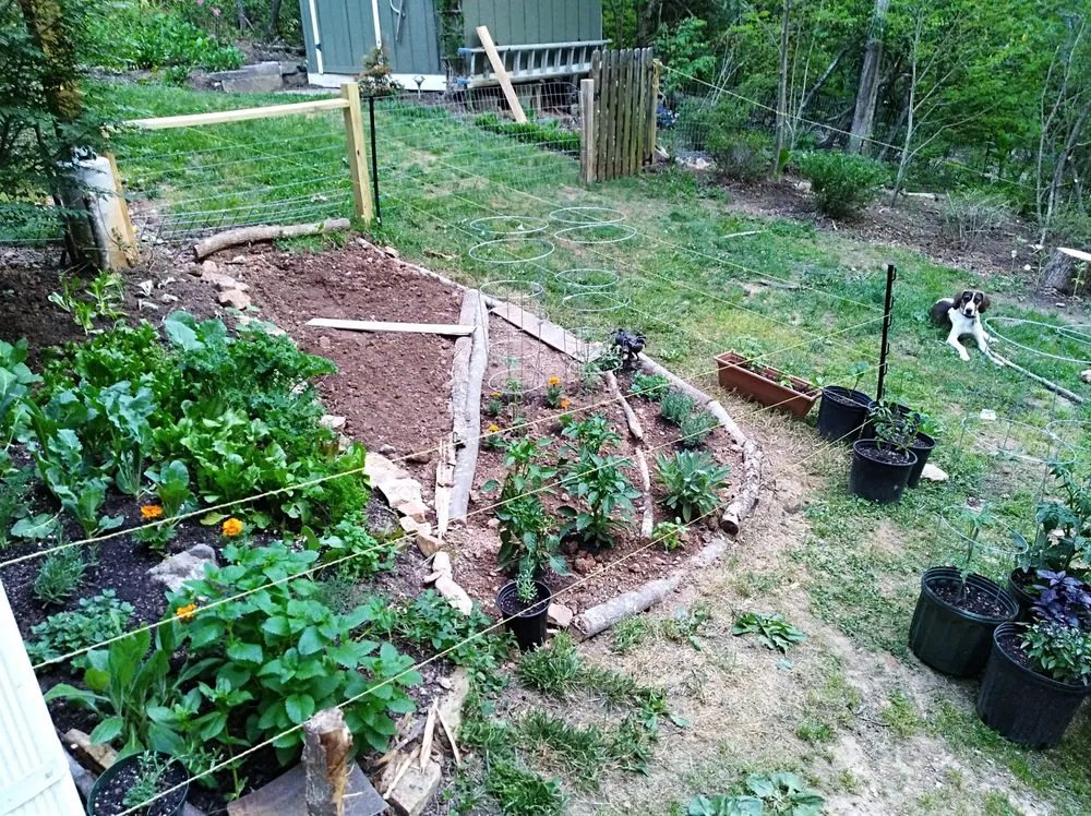 Trusted landscape design experts serving Asheville, NC - Natural Succession Landscapes