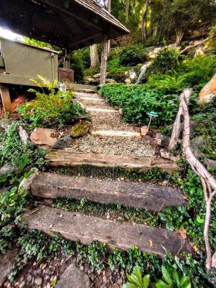 Local lawn care service experts serving Asheville, NC - Natural Succession Landscapes