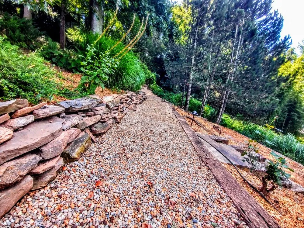 Professional lawn care service in Asheville, NC by Natural Succession Landscapes