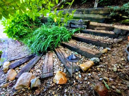 Natural Succession Landscapes