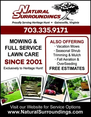 Natural Surroundings Logo