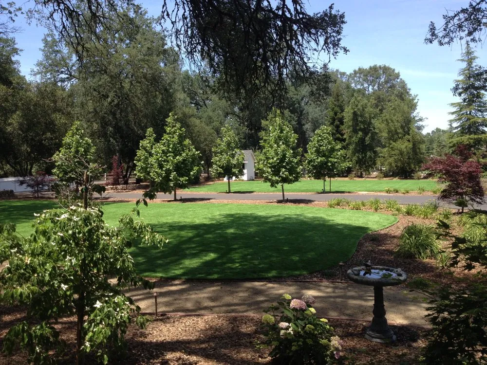 Custom landscape design for outdoor upgrades across Reno, NV - Natural Tech Artificial Grass