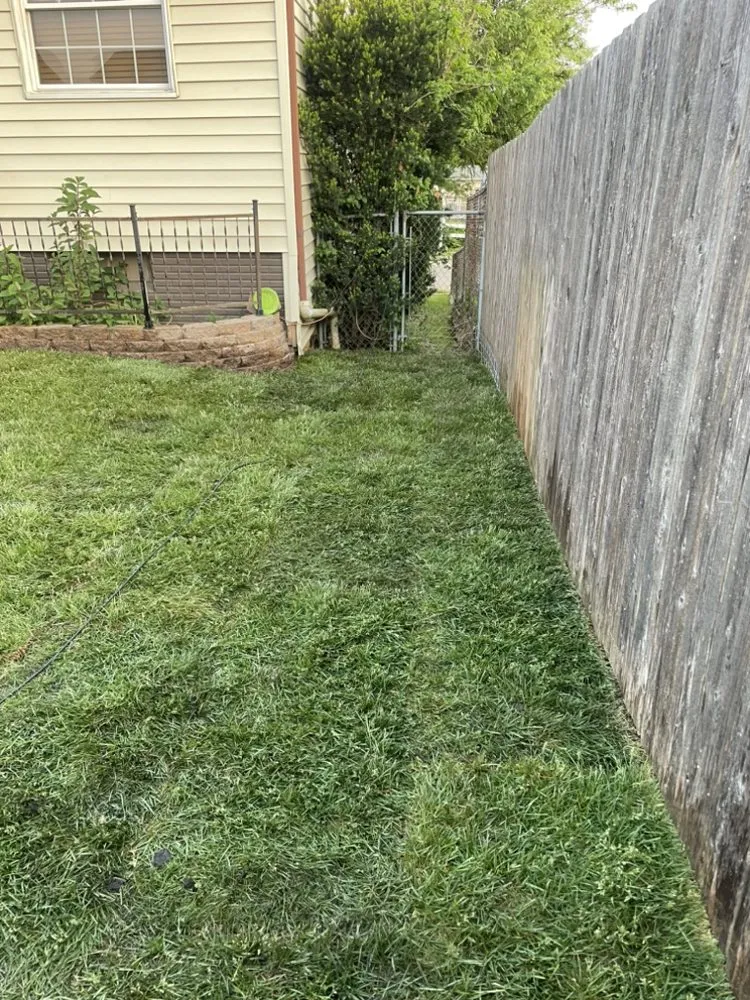 Affordable outdoor landscaping in Davenport, IA by Natural Terrains