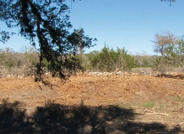 Trusted lawn care service in Austin, TX by Natural Texas