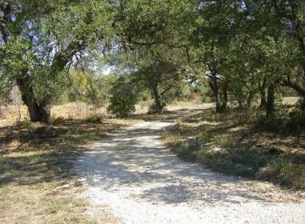 Expert yard maintenance in Austin, TX by Natural Texas