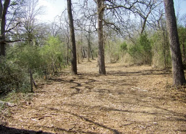 Local yard cleanup service for residential properties across Austin, TX - Natural Texas