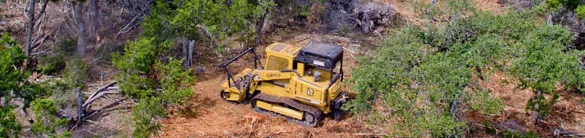 Trusted landscape installation for homes in Austin, TX by Natural Texas