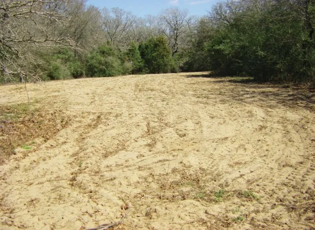 Reliable landscape design in Austin, TX by Natural Texas