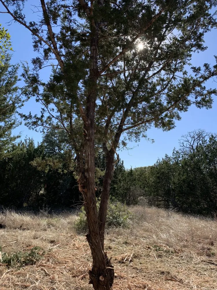 Local landscape design in Austin, TX - Natural Texas