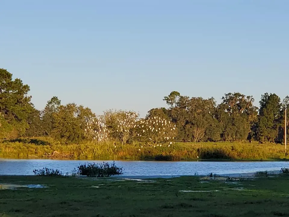 Top-rated yard maintenance in Trenton, FL by Natural Treasures Farm & Nursery