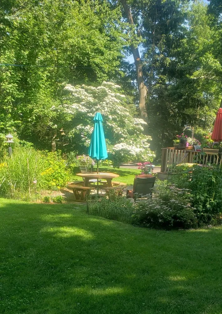 Affordable outdoor landscaping in Stoughton, MA - Natural Tree & Lawn Care