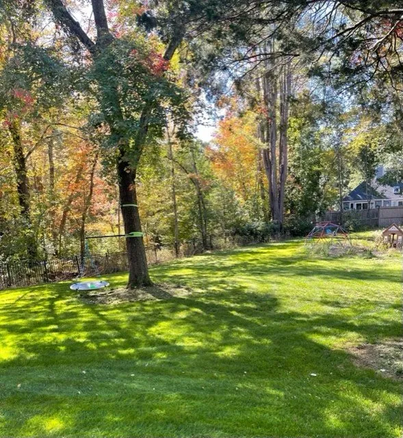 Expert outdoor landscaping experts serving Stoughton, MA - Natural Tree & Lawn Care