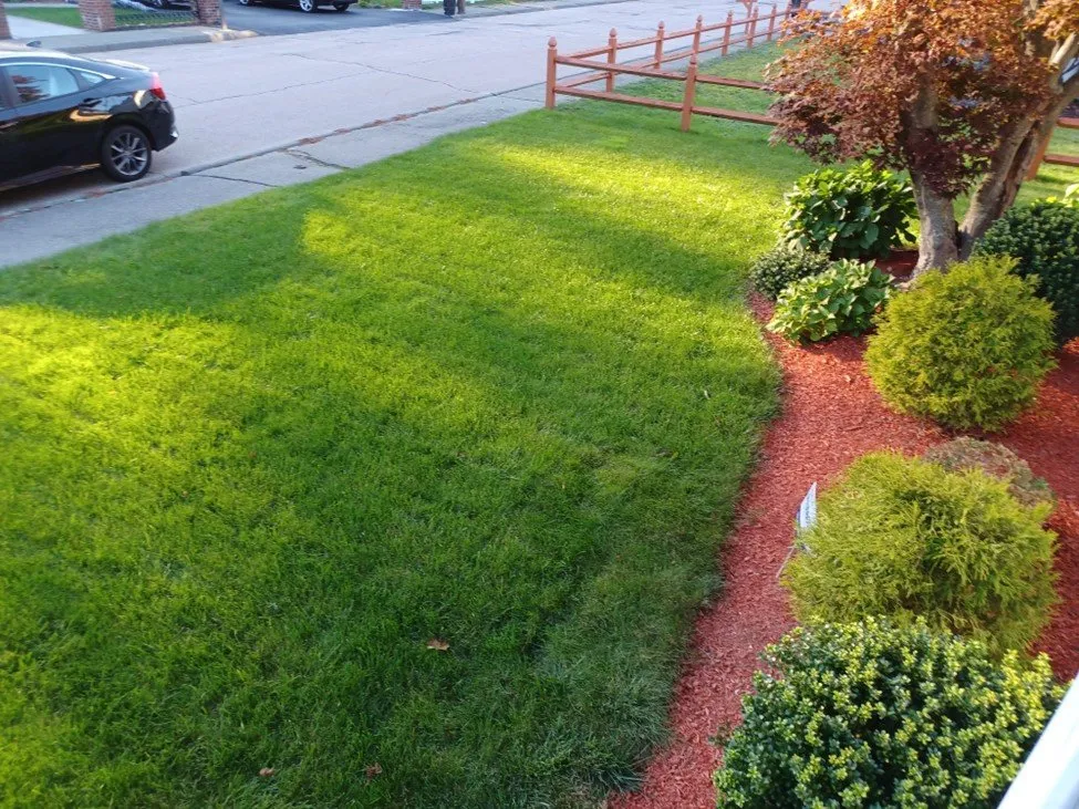 Affordable lawn care service in Stoughton, MA - Natural Tree & Lawn Care