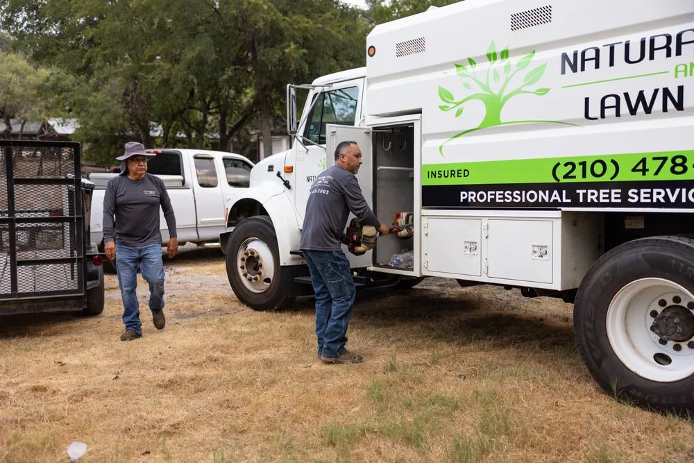 Custom yard cleanup service in San Antonio, TX - Natural Tree and Lawn Care