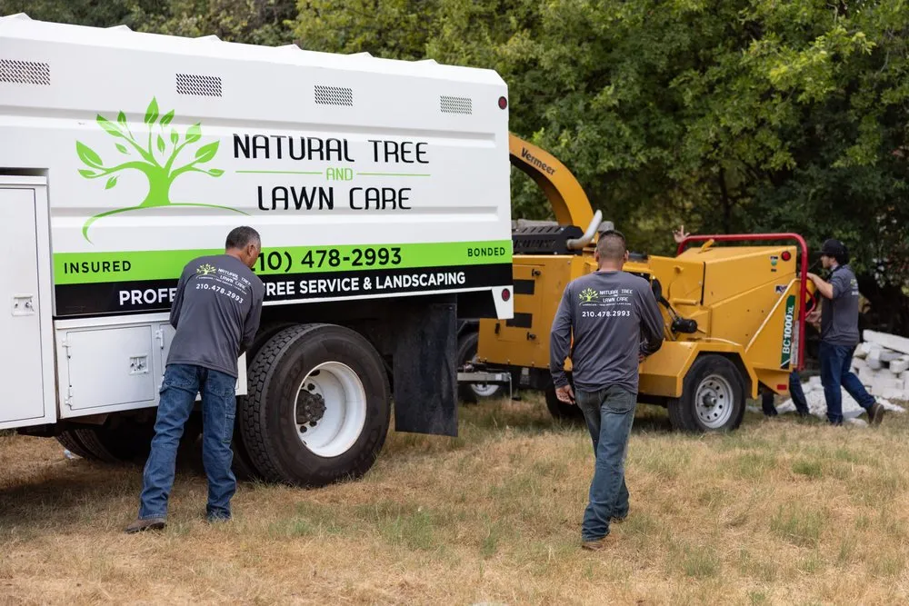 Reliable garden landscaping in San Antonio, TX - Natural Tree and Lawn Care