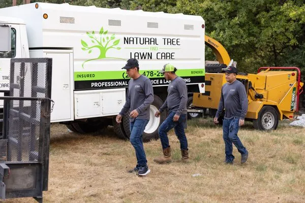 Natural Tree and Lawn Care Logo
