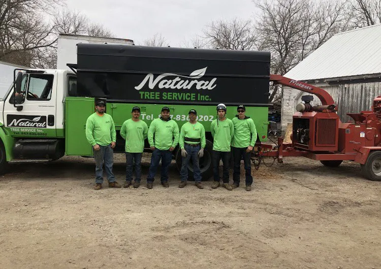 Local residential landscaping in Gilberts, IL by Natural Tree Service