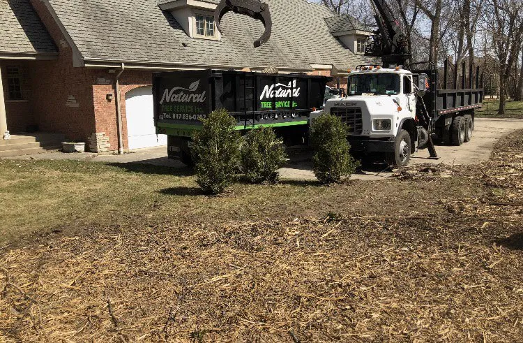 Affordable lawn care service experts serving Gilberts, IL - Natural Tree Service