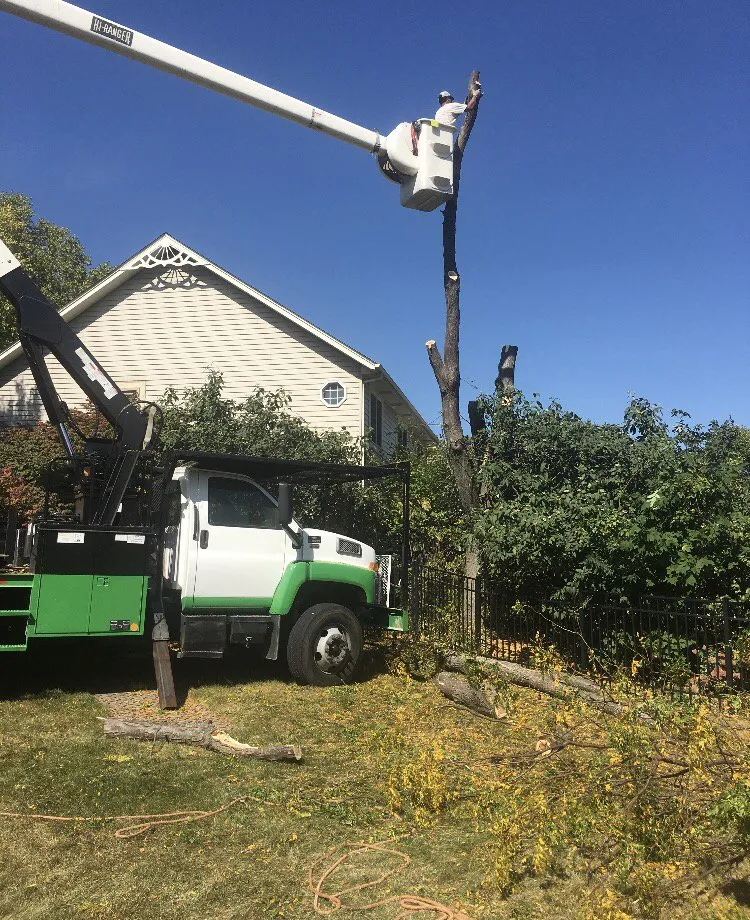 Reliable landscape installation experts serving Gilberts, IL - Natural Tree Service