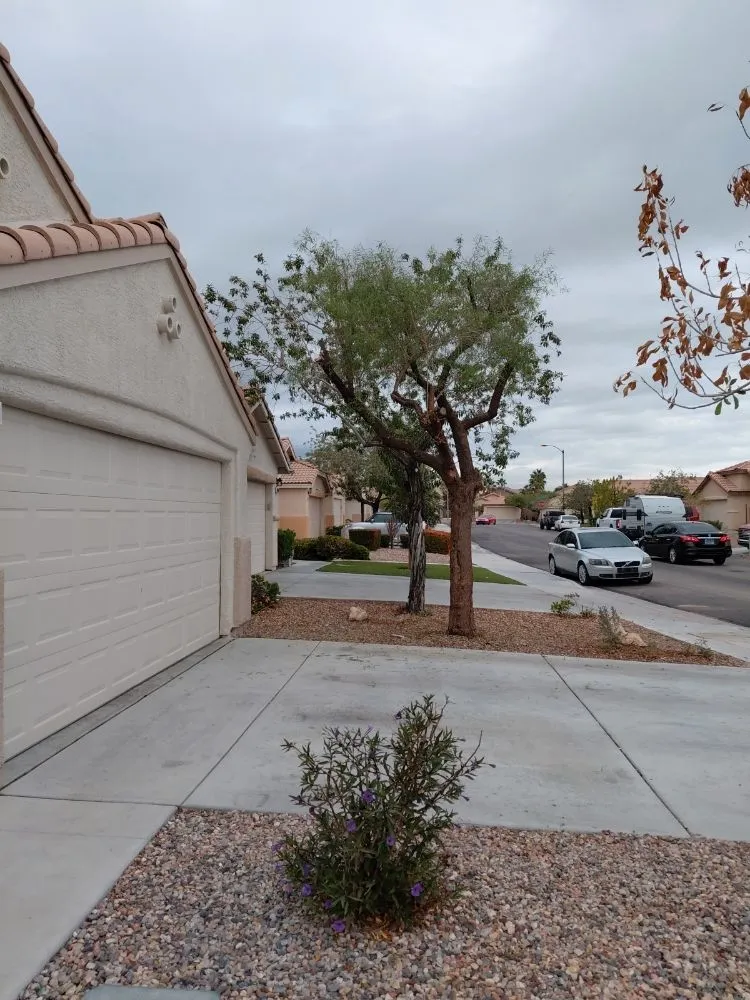 Top-rated landscape design experts serving Las Vegas, NV - Natural Valle Verde Services