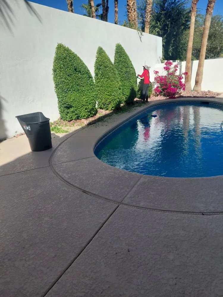 Local yard cleanup service in Las Vegas, NV - Natural Valle Verde Services