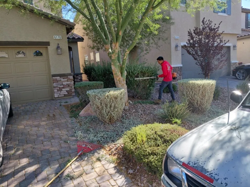 Trusted landscape installation in Las Vegas, NV - Natural Valle Verde Services