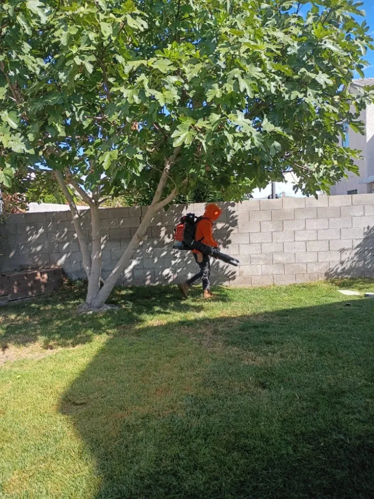 Affordable lawn mowing service in Las Vegas, NV by Natural Valle Verde Services