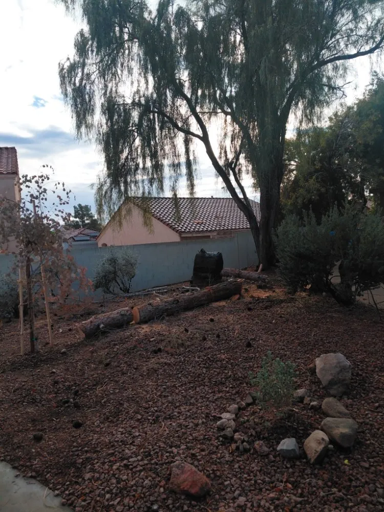 Professional garden landscaping for outdoor upgrades in Las Vegas, NV by Natural Valle Verde Services