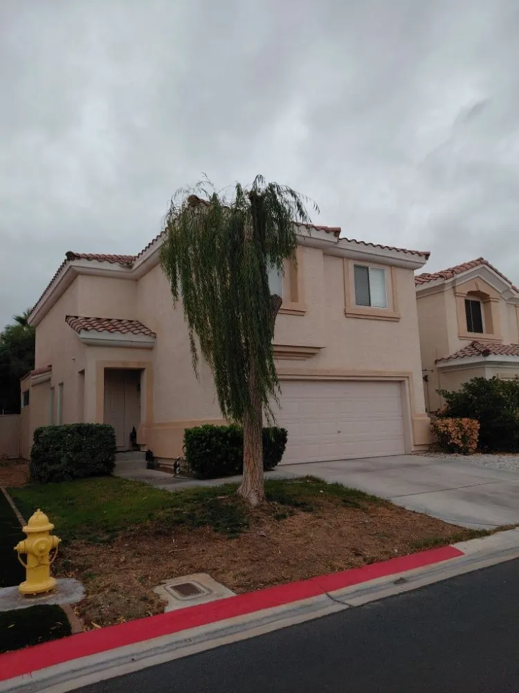 Top-rated landscaping services experts serving Las Vegas, NV - Natural Valle Verde Services