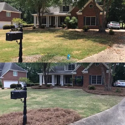 Natural Verde Lawn Care & Landscaping Logo