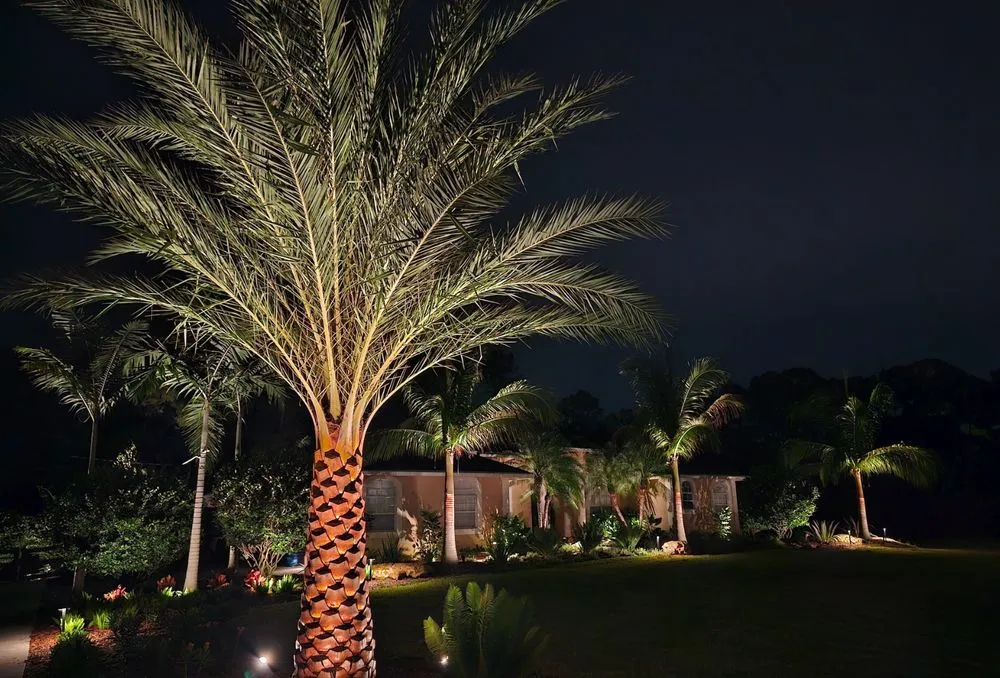 Affordable outdoor landscaping in Loxahatchee, FL - Natural View Landscape