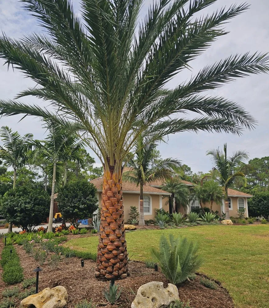 Custom landscaping services in Loxahatchee, FL - Natural View Landscape