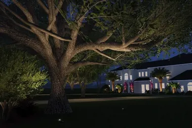 Professional residential landscaping experts serving Loxahatchee, FL - Natural View Landscape