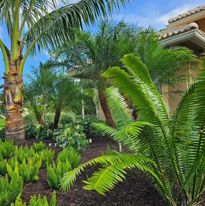 Local garden landscaping experts serving Loxahatchee, FL - Natural View Landscape