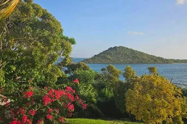 Expert lawn mowing service for outdoor upgrades in Loxahatchee, FL by Natural View Landscape