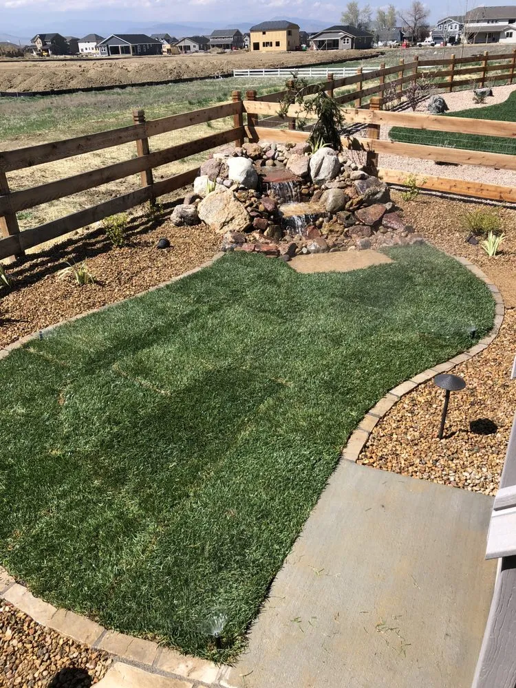 Affordable lawn care service in Longmont, CO by Natural View Landscaping