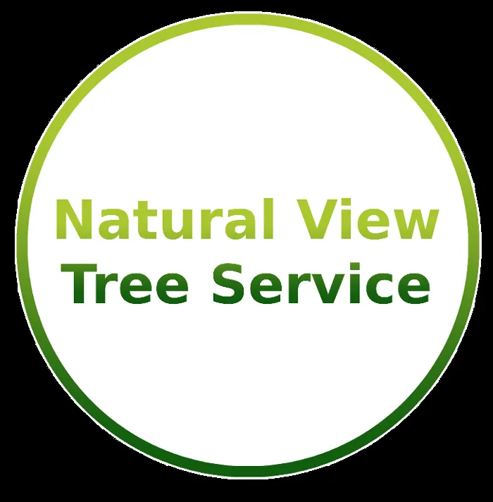 Affordable landscape design with custom design across Belleview, FL - Natural View Tree Service