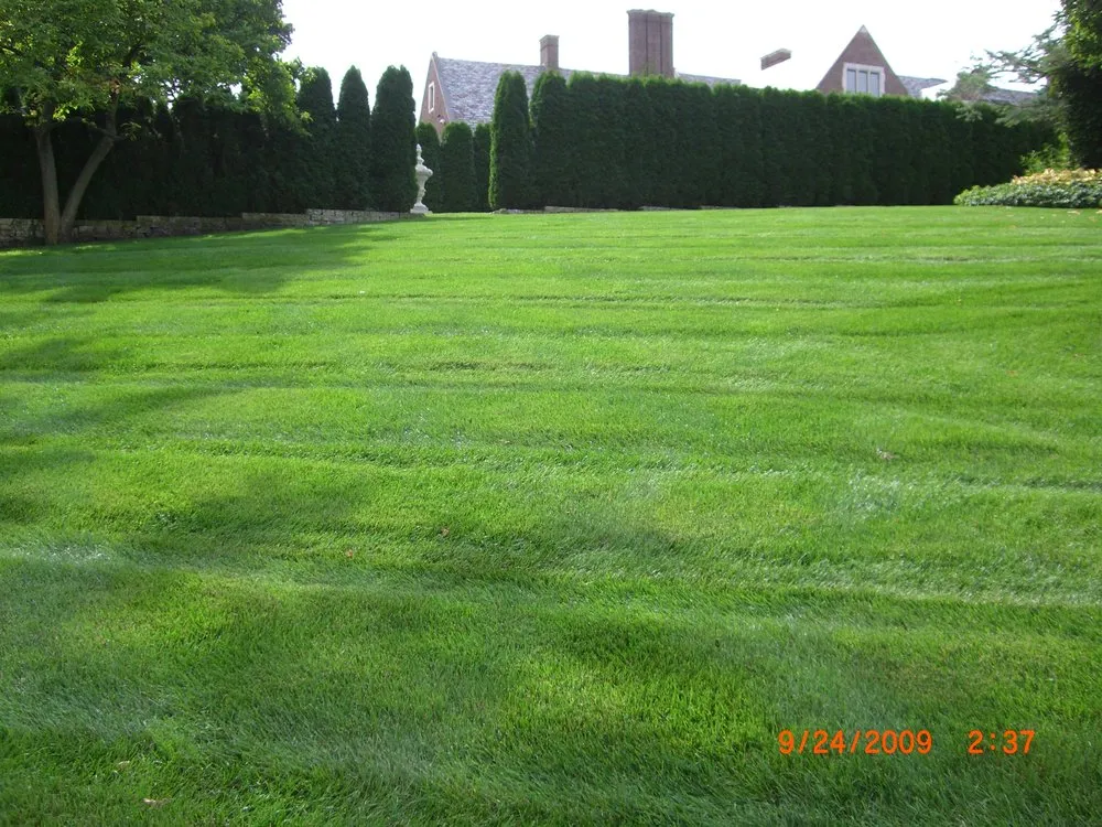 Affordable lawn care service in Farmington Hills, MI - Natural Way Lawn & Tree Service