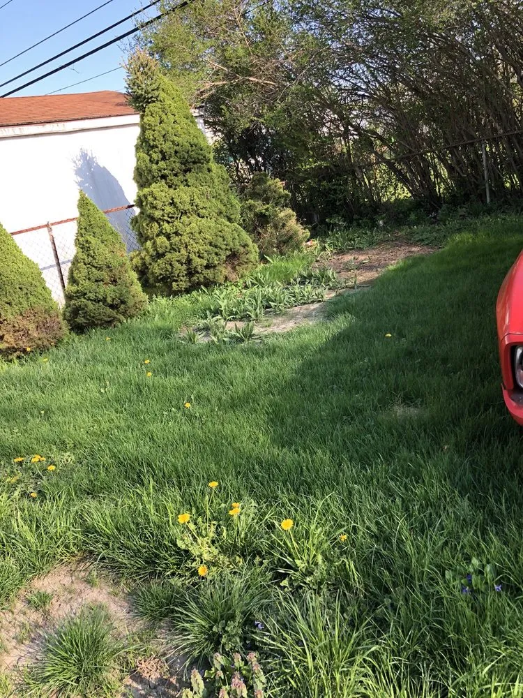 Reliable yard cleanup service in Farmington Hills, MI by Natural Way Lawn & Tree Service